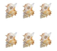 FLYIODFCXV Coquillages, Lot de 6 décorations Mariage, fête sur Le thème la Plage, for Maison, Bricolage, Les Aquariums et collectionneurs Coquillages