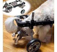 FLYIODFCXV Fauteuil Roulant pour Chiens Aide à la mobilité for Chien handicapé, for Marche des Pattes arrières de l'animal, Chariot 2 Roues for avec Harnais Souple, d'assistance en métal(M)