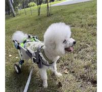 FLYIODFCXV Fauteuil Roulant pour Chiens Chariot de mobilité for Chiots, for Pattes arrières, for la rééducation Canine, réglable et léger, Fauteuil Roulant Pliable for Animaux handicapés(M)