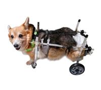FLYIODFCXV Fauteuil Roulant pour Chiens Chariot de rééducation for Chiens en métal for Petits Animaux, fauteuils roulants d'entraînement for handicapés(Size M)