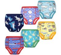 FLYISH DIRECT Culottes d Apprentissage Garcon, Culotte Absorbants Enfant | Apprentissage de la Propreté en Journée, Lavables, Coton, Lot de 6, Voyage d'aventure, 3 ans