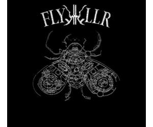 Flykiller - Experiments in Violent Light