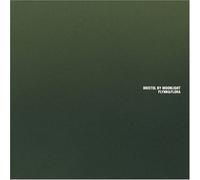 Flynn & Flora - Bristol by Moonlight [Import]