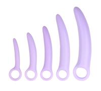 FLYSL Ensemble de 5 Pièces Dilatateur Anus XXL et Vaginisme,Plug Vaginal Multifonction Massager Plug Anal,Massage Anale,Sex Toýs Couple Femme Homme (Violet)