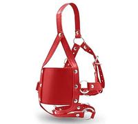 FLYSL Masque BDSM Fétiche avec Baillon Extrême,Masque Bondage Réglable avec Baillon Boule,Sex Toýs Jeux Sexuelle Adulte Couple,Accessoires de Mode pour Femme Homme (Rouge)