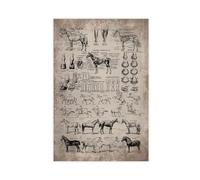 FMSKY Poster rétro sur toile représentant la race de cheval et l'anatomie - Décoration de chambre à coucher, de sport, de bureau, de chambre - Cadeau sans cadre - 60 x 90 cm
