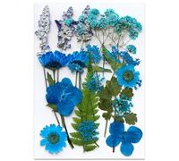 FMYODWU 1 paquet Fleurs Séchées, 18 Pièces Fleurs Sechees Naturelles Fleur Séchée pour Bougies Fleurs Sechees Fleurs Séchées Vrac Fleur Sechees Decoration pour Bricolage Résine Epoxyn Art