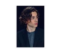 FNWNJNG Timothée Chalamet Actor Fanart Poster peinture décorative sur toile pour salon, chambre à coucher, art mural, impression d'image moderne, décoration de salle familiale, 30 x 45 cm