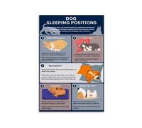 FNYUVNFAF Canine Sleep Positions Guide - Educational Chart for Dog Health Mood and Behavior for Pet Owners Unframed,08x12inch(20x30cm)