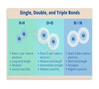 FNYUVNFAF Science Classroom Decor STEM Chemistry Poster Chart of Single Double and Triple Bonds for High School or College 8 X 12 in