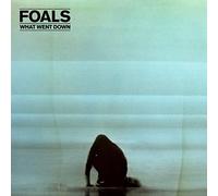 Foals What Went Down (Vinyl) 12" Album