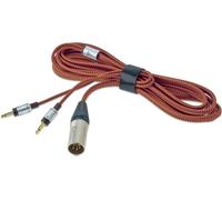 Focal Câble XLR4 pour Stellia (3 m) - Câbles casques
