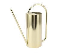 Fockety Arrosoir pour Plantes D'intérieur, Petit Arrosoir en Acier Inoxydable de 1500 ML, élégant Bec Long pour Plantes D'intérieur, Fleurs de Jardin, Plantes Grasses, bonsaï (Or)
