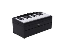 Fockety Clavier de piano électrique, 25 touches BT rechargeables, clavier numérique portable avec 52 chansons renommée mondiale, 8 modes d'instrument, lumières LED, mini calendrier (BLACK)