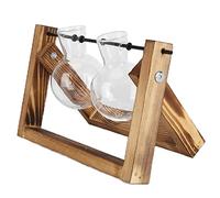 Fockety Terrarium Végétal avec Support en Bois, Vase en Verre, Décoration de Maison et de Bureau pour Les Amoureux de la Nature (Casier rétro + Bouteilles Doubles)