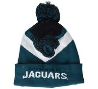 FOCO Bonnet lumineux en tricot avec grand logo NFL pour homme, couleur de l'équipe, 9-1063 US