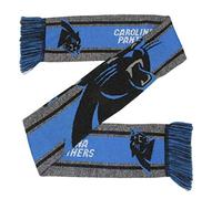FOCO Carolina Panthers charpe grise avec grand logo