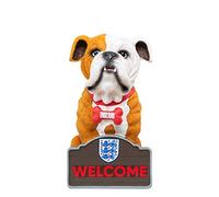 FOCO Nain de Bouledogue Anglais sous Licence Officielle