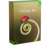 FOCUS #6