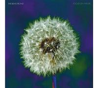 Focus On Nature Vinyle Violet Vinyle
