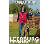 Focused Heeling with Michael Ellis