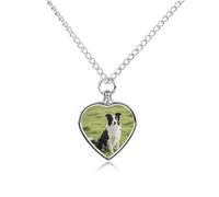 FodPand Collier avec pendentif en forme de cœur personnalisable pour chien et chat avec kit de remplissage, chaîne réglable de 70,1 cm, bijou funéraire, pendentif en forme de cœur pour chiens et chats