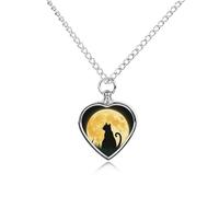 FodPand Collier commémoratif pour cendres de chat pleine lune assis dans l'herbe - Bijou imperméable pour homme et femme - Pendentif urne réglable avec kit de remplissage - Cadeau souvenir pour la