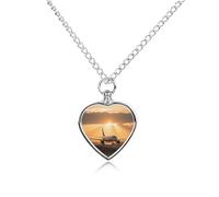 FodPand Collier funéraire en forme d'avion au coucher du soleil pour animal domestique - Étanche - Bijou funéraire pour homme et femme - Pendentif urne réglable avec kit de remplissage - Cadeau