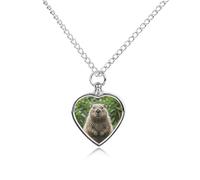 FodPand Collier urne personnalisable pour cendres d'animaux de compagnie en acier titane avec kit d'entonnoir, cadeau souvenir, pendentif photo personnalisé pour chiens, chats, proches