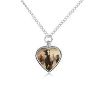 FodPand Collier urne personnalisable pour cendres d'animaux de compagnie en acier titane avec kit entonnoir - Cadeau souvenir - Pendentif photo personnalisé pour chiens, chats et proches