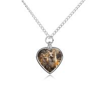 FodPand Collier urne personnalisé pour cendres d'animaux de compagnie en acier titane avec deux corgis bijoux funéraires avec entonnoir - Cadeau souvenir - Pendentif photo personnalisé pour chiens