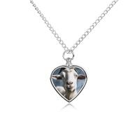FodPand Collier urne personnalisé pour cendres d'animaux de compagnie en acier titane avec kit d'entonnoir, collier commémoratif, cadeau souvenir, pendentif photo personnalisé pour chiens, chats