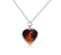 FodPand Collier urne personnalisé pour cendres d'animaux de compagnie en acier titane avec kit entonnoir - Cadeau souvenir - Pendentif photo personnalisé pour chiens, chats, proches