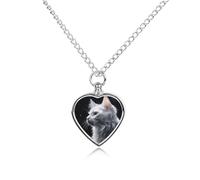 FodPand Collier urne personnalisé pour cendres d'animaux de compagnie en acier titane peinture chat blanc bijoux funéraires bijoux avec entonnoir collier commémoratif cadeau souvenir pendentif photo