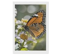 FodPand Kit de peinture diamant papillon orange pour adultes et débutants - Foret rond 5D avec outils de bricolage - Décoration murale pour salon, chambre à coucher, bureau - 20,3 x 30,5 cm