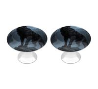 FodPand Lot de 2 boutons d'armoire de cuisine de 2,8 cm avec vis à trou unique en forme de loup hurlant féroce en acier inoxydable pour salle de bain, placard, porte d'armoire