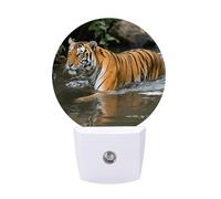FodPand Veilleuse à brancher dans le mur avec capteur du crépuscule à l'aube 0,5 W LED moderne Tigre Piscine Lampe de nuit pour chambre à coucher, couloir, cuisine, salle de bain, escaliers, couloir