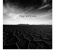 Fogdiver – Vinyle 12" – The Orchard