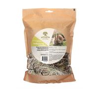 Foin de fléole des prés Utopia avec feuille de bouleau