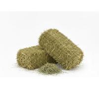Foin naturel pour chevaux, ovins, chèvres et bétail 10 kg | Danse de foin italienne de prairie de montagne biologique | Nourriture pour tous les rongeurs, lapins et bétail | Haute Qualité