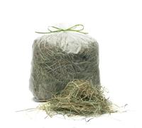 Foin naturel pour lapins, tortues, chevaux, ovins, chèvres, poulains | Foin italien de gazon de montagne séché au soleil | Aliment pour tous les rongeurs, chevaux, moutons | Qualité premium (10 kg)