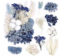 Fokroin Fleurs Séchées, Fleurs Séchées Naturelles, Artisanat de Fleurs séchées, Fleur Sechees Decoration, pour Bricolage Résine Epoxy Bijoux Floraux Nail Art Bougie Fabrication Artisanale(Bleu)