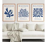 FOKTMS Bleu Matisse Corail Boho Mur Art Toile Peinture Nordique Neutre Exposition Affiche et Impressions Mur Photos Chambre décor 50x70 cm-3 pièces sans Cadre