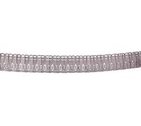 Folat Papier Guirlande Champagne, 21274, Couleur argent