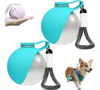 Foldable Dog Water Bottle for on The Go, Leak-Proof Travel Drinking Bowl for Cats with Foldable Silicone Bowl, Portable Pet Water Bottle for Dog Cat Outdoor Walking (2B)