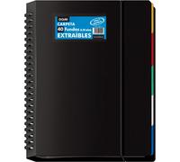 Folder With 40 Removable Pockets-A4 (25 X 31 Cm),Disc Rings,5 Coloured Dividers,Elastic Closure-Office And School Supplies