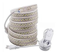 FOLGEMIR 20m Ruban à LED avec interrupteur - Blanc Chaud, 220V 230V LED strip, Bande de 5630 SMD 180 LEDs/m, éclairage très lumineux, IP65 étanche