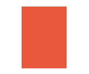 Folia 6300 Lot de 50 feuilles de papier cartonné Blanc Format A3 130 g/m² Orange