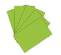 folia 6350 - Lot de 50 Feuilles de Papier à Dessin - 130 g/m² - Vert mai - Format A3 - pour la Base de Nombreux travaux manuels