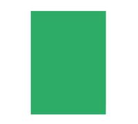 folia 6354 Coloured Paper Emerald Green DIN A3 130 g/m² 50 Sheets for Crafts and